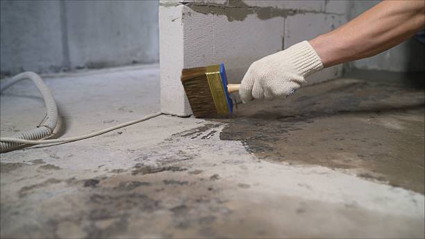 Top rated local Basement Waterproofing specialists in Meridian, MS